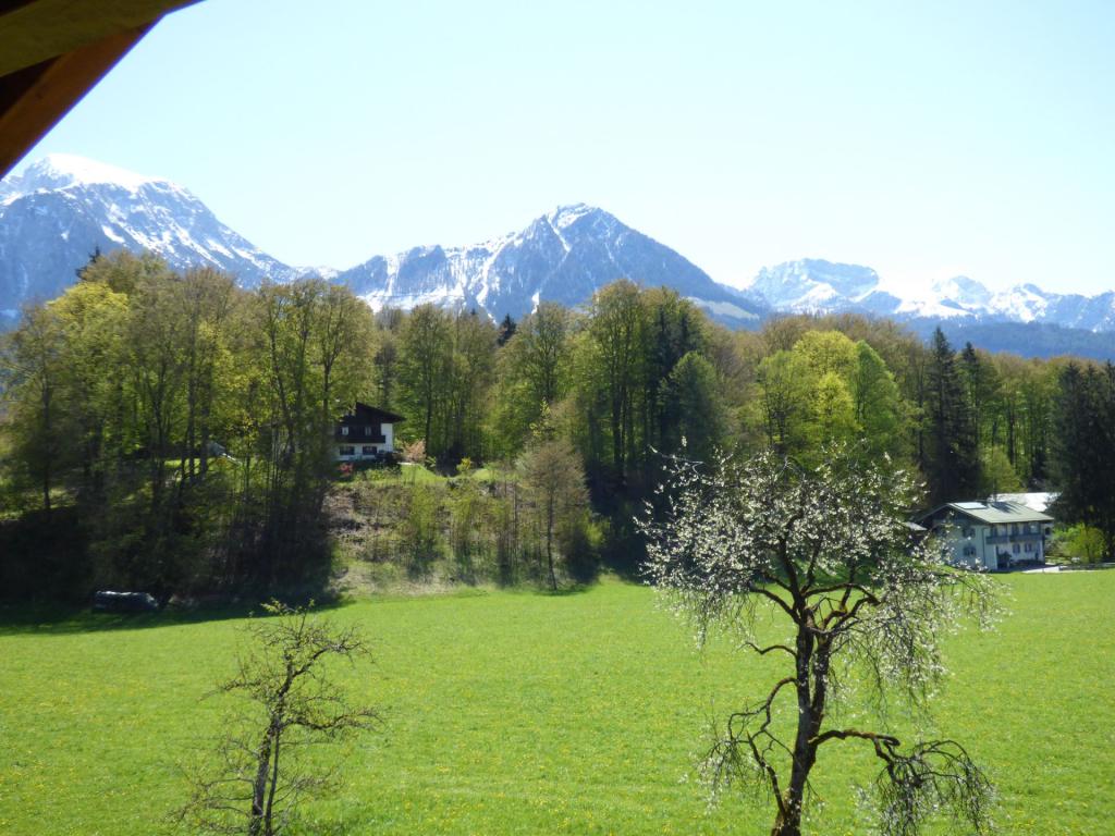 Blick vom Balkon in der Ferienwohnung Grünstein