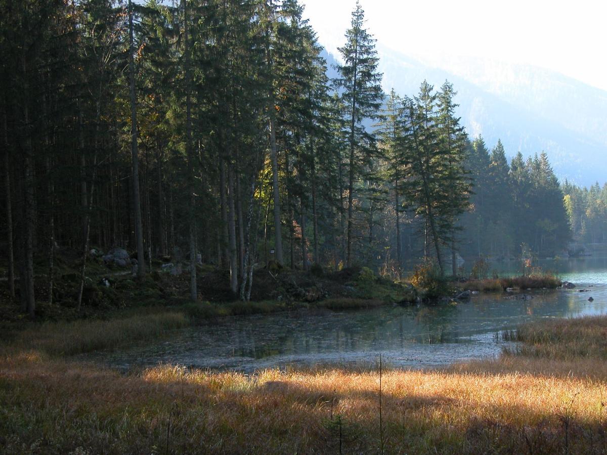 Morgenstimmung am Hintersee...